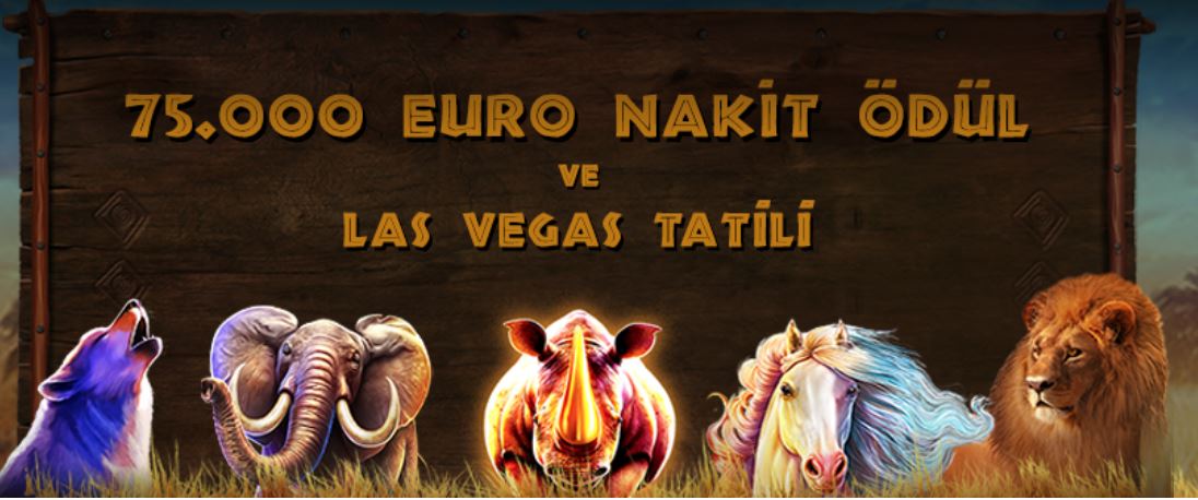 Slot Oyunu Nedir – Slot Oyunları – Slot Oyna